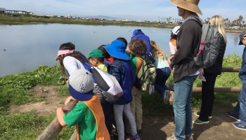 Bolsa Chica Conservatory Field Trip