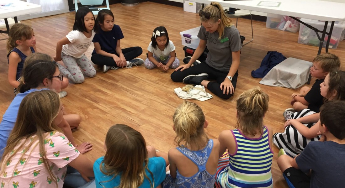 Bionerds, Biology Kids for elementary kids