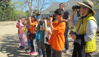 San Joaguin Conservatory Bird Watching