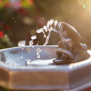 albert-flamingo-_gB2TMqHBDI-unsplash_Water fountain